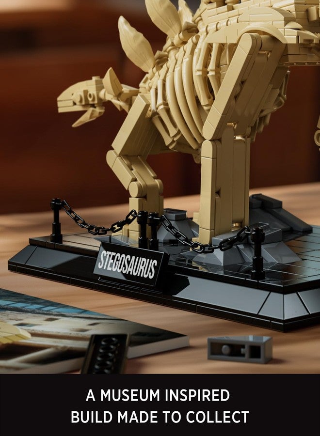 Nifeliz Stegosaurus Fossils Model Set, Dinosaur Skeleton Building Set with Display Base for Adults, Ideal Gift for Enthusiasts and Collectors (665 PCS, NF10353) - Image 4